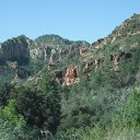 arizona from other cameras - DSCF1491
